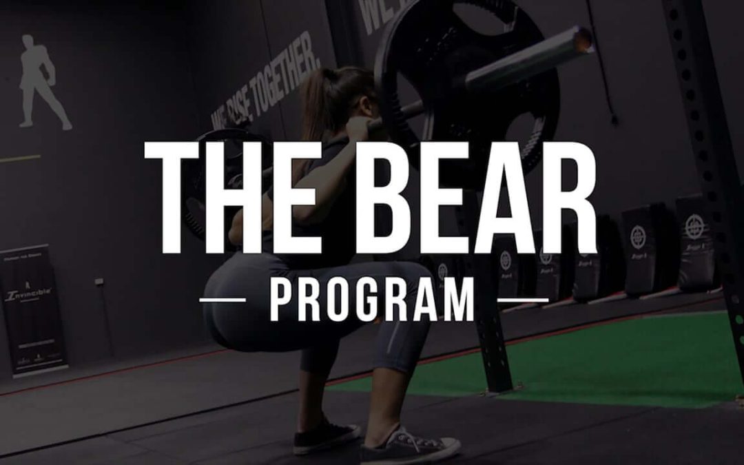 How The BEAR Program Works