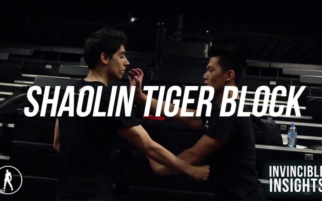 Shaolin Tiger Block | P3MA SKILLS TRAINING #5